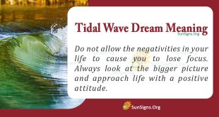 Tidal Dream Meaning