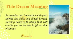 Tide Dream Meaning