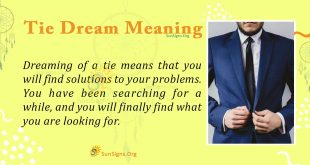 Tie Dream Meaning