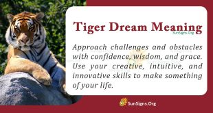 Tiger Dream Meaning