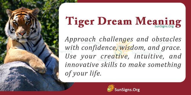 Tiger Dream Meaning