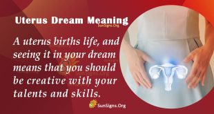 Uterus Dream Meaning