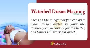 Waterbed Dream Meaning