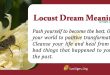 Locust Dream Meaning