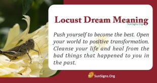 Locust Dream Meaning