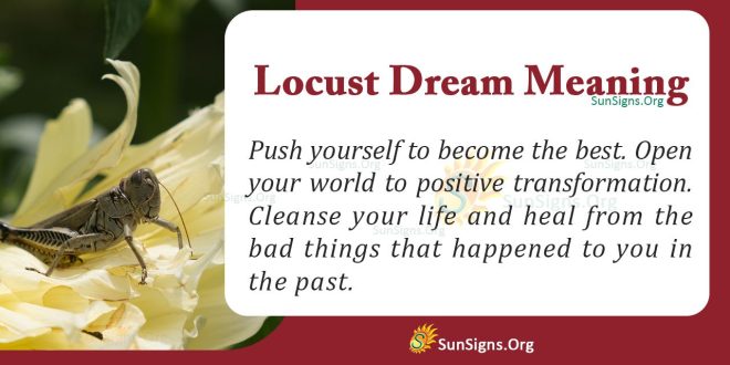 Locust Dream Meaning