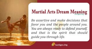 Martial Arts Dream Meaning