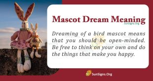 Mascot Dream Meaning