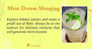 Mint Dream Meaning