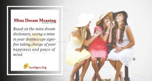 Minx Dream Meaning