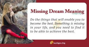 Missing Dream Meaning