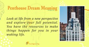 Penthouse Dream Meaning