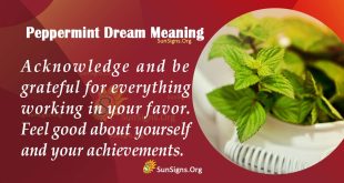 Peppermint Dream Meaning