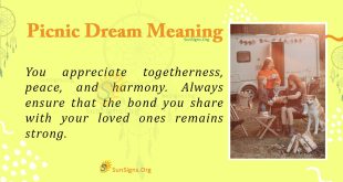 Picnic Dream Meaning