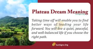 Plateau Dream Meaning