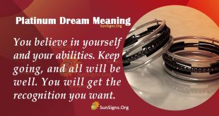 Platinum Dream Meaning