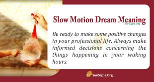 Slow Dream Meaning