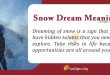 Snow Dream Meaning