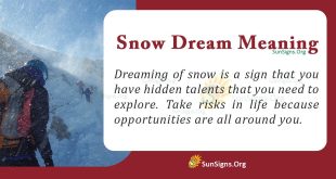 Snow Dream Meaning