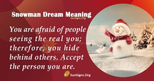 Snowman Dream Meaning