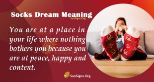 Socks Dream Meaning