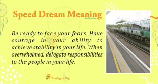 Speed Dream Meaning