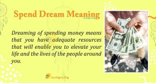 Spend Dream Meaning