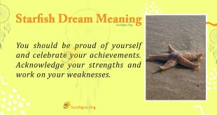 Starfish Dream Meaning