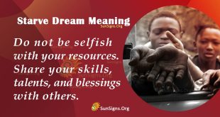 Starve Dream Meaning