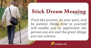 stick dream meaning