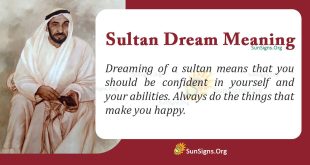 Sultan Dream Meaning