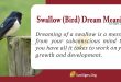 Swallow(Bird) Dream Meaning