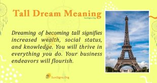 Tall Dream Meaning