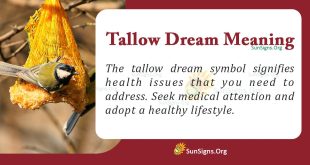 Tallow Dream Meaning