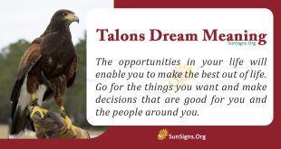 Talons Dream Meaning