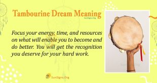 Tambourine Dream Meaning