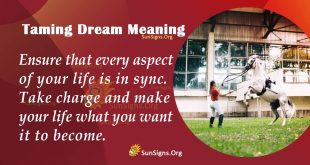 Taming Dream Meaning