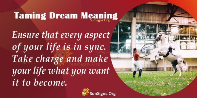 Taming Dream Meaning