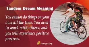 Tandem Dream Meaning