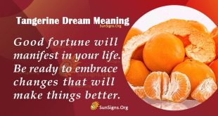 Tangerine Dream Meaning