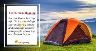 Tent Dream Meaning