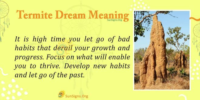 Termite Dream Meaning