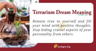 Terrarium Dream Meaning