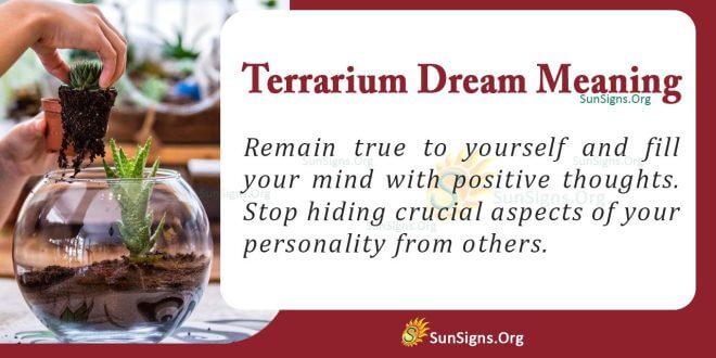 Terrarium Dream Meaning