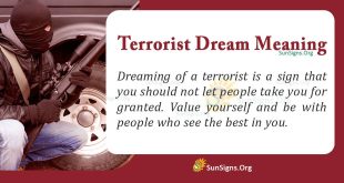 Terrorist Dream Meaning