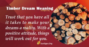 Timber Dream Meaning