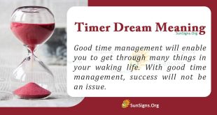 Timer Dream Meaning