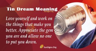 Tin Dream Meaning