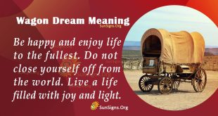 Wagon Dream Meaning