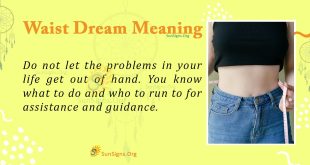 Waist Dream Meaning